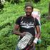 Rizeli üretici yaş çay hasadını Senegalli arkadaşlarıyla gerçekleştiriyor