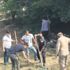 Çorum'da altın telaşı!