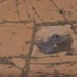 NASA’nın yayınladığı inanılmaz fotoğraflar