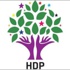 Kazlıçeşme kurasını HDP kazandı Kazlıçeşme kurasını HDP kazandı