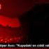 Mustafa Alper Avcı: "Kupadaki en ciddi rakiple oynadık"