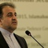 'Türkiye D-8 ülkeleri arasındaki en aktif ülke'