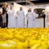 10 koca yılın ardından Abu Dhabi’de yeni Louvre müzesi açılıyor
