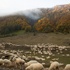 Karadeniz’den Hazar’a