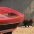 GTA V’te Bir Kedi Olup Şehri Birbirine Katabilirsiniz! GTA V’te Bir Kedi Olup Şehri Birbirine Katabilirsiniz!
