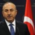 Bakan Çavuşoğlu'ndan seçim gözlemcisi Alman vekile tepki