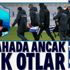 Erman Toroğlu'ndan Erzurumspor - Beşiktaş maçı sonrası bomba açıklama: Bu sahada ancak inek otlar
