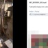 Kediye köpekli eziyetin faturası