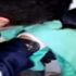 Bacada sıkışan martıları itfaiye kurtardı Bacada sıkışan martıları itfaiye kurtardı