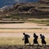 Afrika'nın verimli arazileri pazarlık malzemesi oldu
