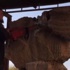 IŞİD Asur kenti Nimrud'un kalıntılarını yok etti iddiası IŞİD Asur kenti Nimrud'un kalıntılarını yok etti iddiası