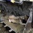 20 gün mahsur kalan köpek kurtarıldı 20 gün mahsur kalan köpek kurtarıldı
