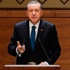 Erdoğan'ın kullandığı 'hervele' sözcüğü ne anlama geliyor?