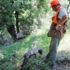 Hatay'da 'siyah elmas' bulundu Hatay'da 'siyah elmas' bulundu