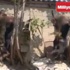 O işkencenin cezası belli oldu