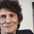 Rolling Stones grubunun gitaristi Wood, İspanya'da