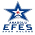 Cedevita Zagreb Anadolu Efes maçı ne zaman?