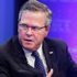 Beyaz Saray'a üçüncü Bush mu geliyor?