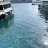 İstanbul Boğazı yine denizanası istilasına uğradı