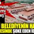 ﻿AKP'li belediyenin hayvan hastanesinde şoke eden iddialar. Adete hayvan soykırımı yapılmış