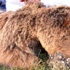 Erzurum'da vahşet Erzurum'da vahşet