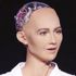 ‘Robot vizesi’nin ilk sahibi oldu