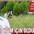 Eski Süper Lig oyuncusu Cevher Toktaş'tan kan donduran ifade! "Cimrilik yaptım özel hastaneye götürmedim"