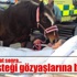 İngiliz kadının son isteği gözyaşlarına boğdu