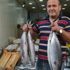 Karadeniz'de torik bereketi; tanesi 125 liraya satılıyor