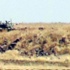 Sınırda kayıp asker alarmı Sınırda kayıp asker alarmı