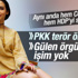Pelin Batu Cemaat'i de HDP'yi de sattı