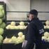 Fahiş fiyat artışı ve stokçuk yapanlara, 500 bin liraya kadar para cezası uygulanacak Fahiş fiyat artışı ve stokçuk yapanlara, 500 bin liraya kadar para cezası uygulanacak