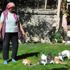 Köyde terk edilmiş kedilere annelik yapıyor