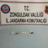 Zonguldak ta Hint keneviri ele geçirildi; 2 gözaltı Zonguldak ta Hint keneviri ele geçirildi; 2 gözaltı