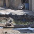 Şırnak'ta teröristlerin kazdığı hendekler kapatılıyor Şırnak'ta teröristlerin kazdığı hendekler kapatılıyor