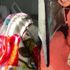 Leyla Sönmez’den kötü haber geldi! Leyla Sönmez özel hastanede yaptırdığı burun ameliyatından sonra komaya girmişti… Leyla Sönmez’den kötü haber geldi! Leyla Sönmez özel hastanede yaptırdığı burun ameliyatından sonra komaya girmişti…