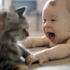 Evinde kedi veya köpek besleyenler dikkat Evinde kedi veya köpek besleyenler dikkat