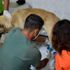 O köpek tedavi altına alındı
