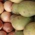 Kuru soğan ve patates ihracatında ön izin şartı kaldırıldı Kuru soğan ve patates ihracatında ön izin şartı kaldırıldı