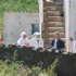 Kuş gribi kabusu büyüyor! Kuş gribi kabusu büyüyor!