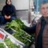 Asma yaprağının fiyatı ikiye katlandı Asma yaprağının fiyatı ikiye katlandı