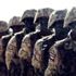 Sudan’da istihbaratçılarla asker arasında çatışma çıktı! Sudan’da istihbaratçılarla asker arasında çatışma çıktı!