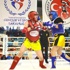 Muay Thai Türkiye Şampiyonası Adana'da sürüyor