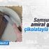 Samsung Galaxy S6'yı çikolatayla kapladılar Samsung Galaxy S6'yı çikolatayla kapladılar