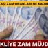 Emekli maaşı 2019 zam oranı belli oldu mu? Emekli maaşı ne kadar olacak?