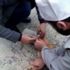 Adana’da kafasına bidon sıkışmış köpeği yoldan geçen imamlar kurtardı Adana’da kafasına bidon sıkışmış köpeği yoldan geçen imamlar kurtardı