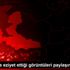 Köpeklere eziyet ettiği görüntüleri paylaşınca yakalandı