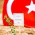 İDDEF'ten Afrika'da fidan seferberliği İDDEF'ten Afrika'da fidan seferberliği