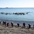 Japonya'daki tsunami 1 milyon deniz canlısını ABD kıyılarına taşıdı