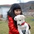Okullar terkedilmiş köpeklerin yuvası oldu